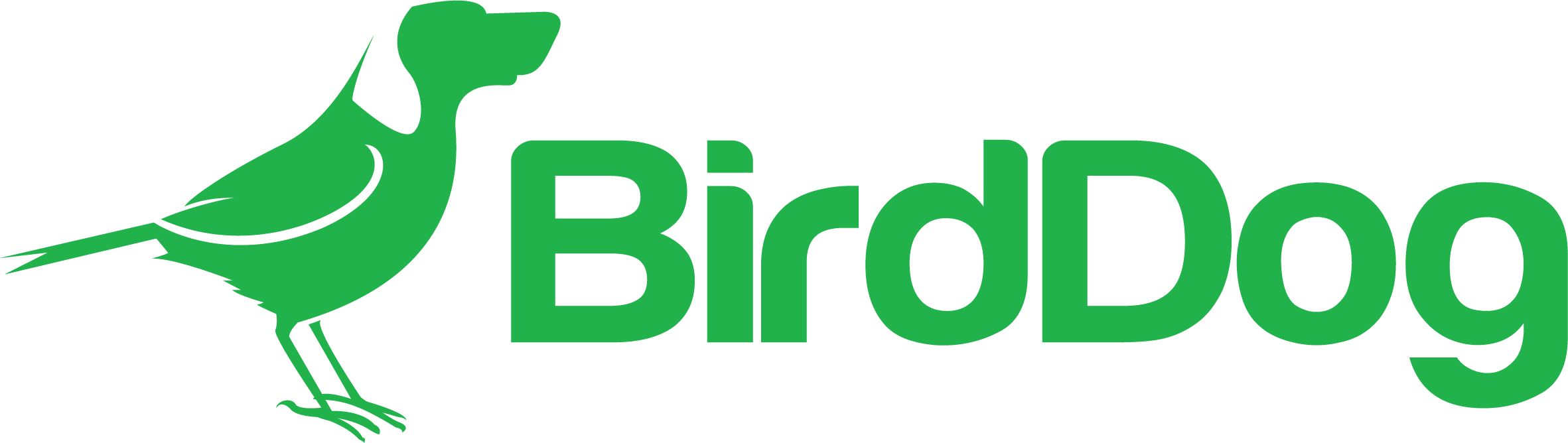 BirdDog logo